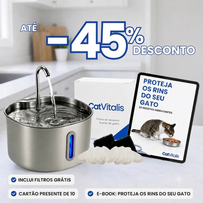 Proteja seu gato da desidratação e dos problemas urinários