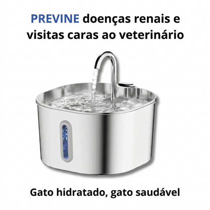 Proteja seu gato da desidratação e dos problemas urinários