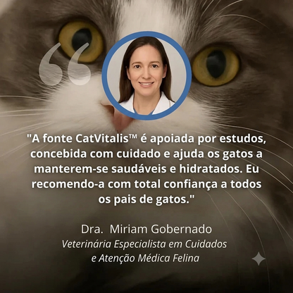 Proteja seu gato da desidratação e dos problemas urinários
